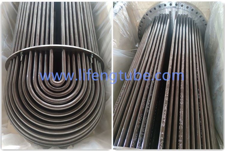 tube bundle1 tube bundle1